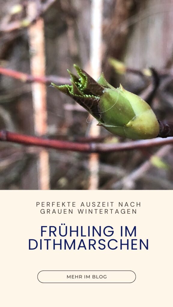 Frühling im Dithmarschen