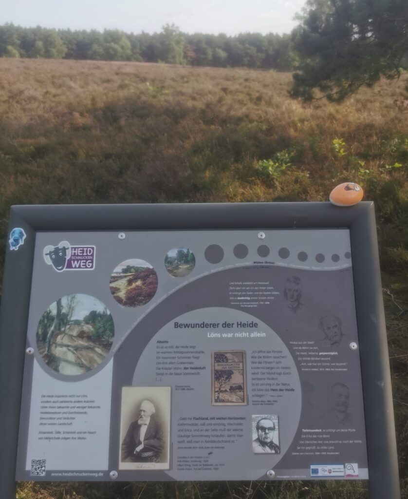 Wander-Nordstein Lasse in der Heide