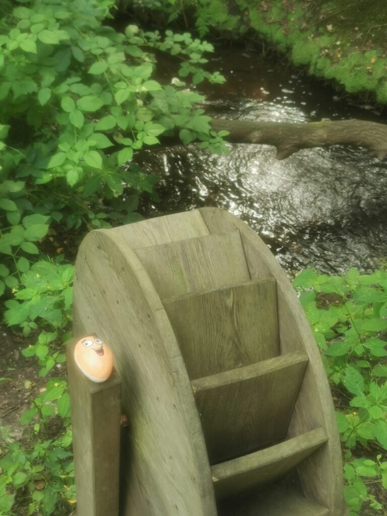 Wander-Nordstein Lasse dreht in der Heide am Rad